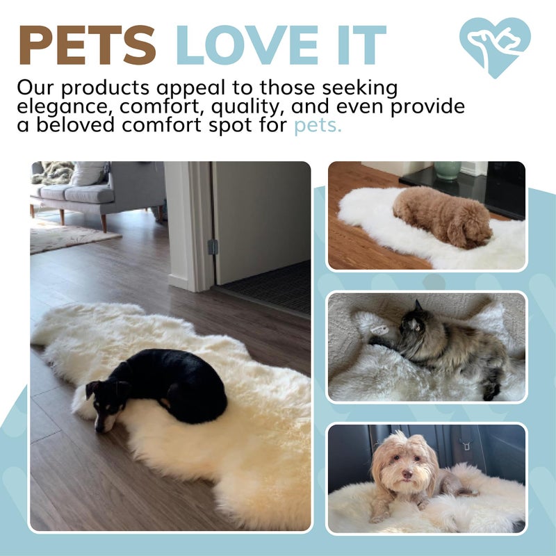 WaySoft New Zealand Sheepskin Area Rug â€“ Genuine Fluffy Wool, Multiple Sizes, Bedroom or Living Room Decor(2ft x 3ft,Ivory) - Image 5